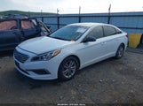 Hyundai Sonata Se 5NPE24AF1GH312982 снимка