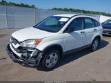 Honda Cr-V Lx JHLRE48357C021999 снимка