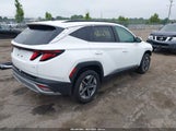 Hyundai Tucson Sel 5NMJBCDE3SH504616 снимка