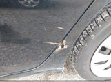Nissan Sentra Fe+ S/S/Sl/Sr/Sv 3N1AB7AP7FL663390 photo