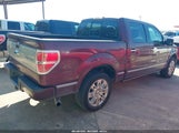 FORD F-150 KING RANCH/LARIAT/PLATINUM/XL/XLT 1FTPW12V59FB48229 fotografie