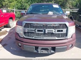 FORD F-150 KING RANCH/LARIAT/PLATINUM/XL/XLT 1FTPW12V59FB48229 снимка