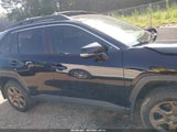 Toyota Rav4 Hybrid Woodland Edition 2T3UWRFV6RW222462 photo