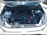 TOYOTA RAV4 XLE 2T3W1RFV9RC300760 photo