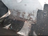 Honda Accord 3.5 Ex-L 1HGCP368X9A002709 photo