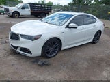 Acura Tlx Tech A-Spec Pkgs 19UUB3F62KA003828 снимка
