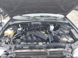 Ford Escape Xlt/Xlt Sport 1FMCU93176KA29269 снимка