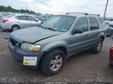 Ford Escape Xlt/Xlt Sport 1FMCU93176KA29269 fotografie