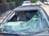 HONDA CIVIC LX 19XFB2F59FE106241 снимка