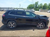 Jeep Cherokee 1C4PJMDX3LD504243 снимка