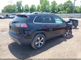 Jeep Cherokee 1C4PJMDX3LD504243 снимка