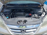 HONDA ODYSSEY LX 5FNRL38295B038177 снимка