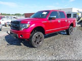 FORD F-150 FX2 SPORT/HARLEY-DAVIDSON/KING RANCH/LARIAT/PLATINUM/XL/XLT 1FTFW1CV3AFB66887 fotografie