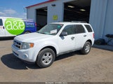 Ford Escape Xlt 1FMCU0DG2BKB04601 снимка