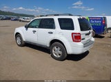 Ford Escape Xlt 1FMCU0DG2BKB04601 fotografie