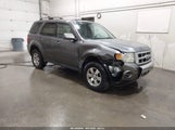 Ford Escape Limited 1FMCU04G89KB35135 снимка