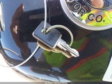 HARLEY-DAVIDSON XL1200 N 1HD1CZ3129K424705 снимка