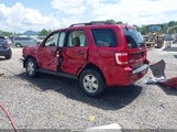 Ford Escape Xlt 1FMCU9DG7BKB27571 снимка