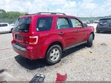 Ford Escape Xlt 1FMCU9DG7BKB27571 снимка