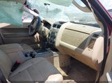 Ford Escape Xlt 1FMCU9DG7BKB27571 снимка