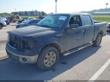 Ford F-150 Fx4/Harley-Davidson/King Ranch/Lariat/Platinum/Xl/Xlt 1FTFW1EV3AFB23616 fotografie