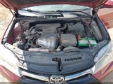 Toyota Camry Le/Se/Xle/Xse 4T1BF1FK0HU719349 photo