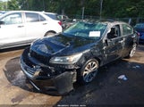 Honda Accord Sport 1HGCR2F55FA221244 photo