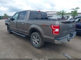 FORD F-150 XLT 1FTEW1EP1LFC03447 снимка