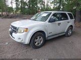 Ford Escape Xlt 1FMCU03118KB61510 снимка