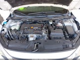 HONDA CIVIC LX 2HGFC2F54HH571516 снимка