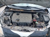 TOYOTA COROLLA LE 1NXBU4EE3AZ342430 снимка
