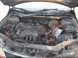 KIA FORTE EX KNAFU4A23A5217310 fotografie