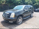 CADILLAC ESCALADE STANDARD 1GYFK23239R203481 снимка