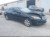 HONDA ACCORD 3.5 EX-L 1HGCP3F85AA022533 снимка