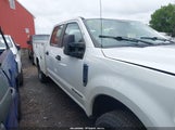 Ford F-350 Xl 1FT7W3BTXKEG58288 photo