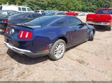 Ford Mustang V6 Premium 1ZVBP8AM0C5249973 снимка