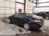 Toyota Camry Hybrid JTNBB46K673033625 photo