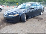 Acura Tl 19UUA66224A070465 снимка