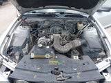 Ford Mustang V6 Deluxe/V6 Premium 1ZVFT80N475271388 photo