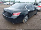 HONDA ACCORD SDN 3.5 EX-L/EX-L 1HGCP36859A010149 снимка