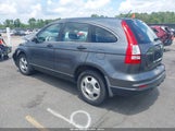 HONDA CR-V LX 3CZRE3H38BG704769 снимка