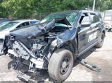 Ford Police Interceptor 1FM5K8AB1LGD00166 снимка