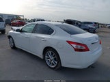 NISSAN MAXIMA 3.5 SV 1N4AA5AP1BC849457 снимка