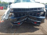 Chevrolet Silverado  4Wd Double Cab Standard Bed Custom Trail Boss 1GCRYCEF9LZ176799 photo