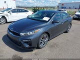 Kia Forte S 3KPF34AD6KE008009 снимка