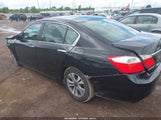 HONDA ACCORD LX 1HGCR2F3XDA255496 снимка