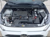 Toyota Rav4 Xle 2T3W1RFV0PW240136 photo