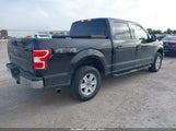 Ford F-150 Xlt 1FTEW1EP5KKD42485 снимка