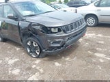 Jeep Compass Trailhawk 4X4 3C4NJDDB7JT135762 снимка