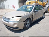 Chevrolet Malibu Maxx Ls 1G1ZT62814F228413 снимка